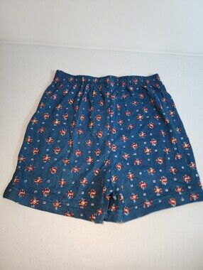 Vintage Rare Teen Boys Fruit Of The Loom Underwear XL 18-20 Comfy Summer NOS